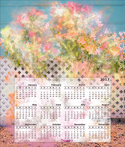 January 2017 Calendar 