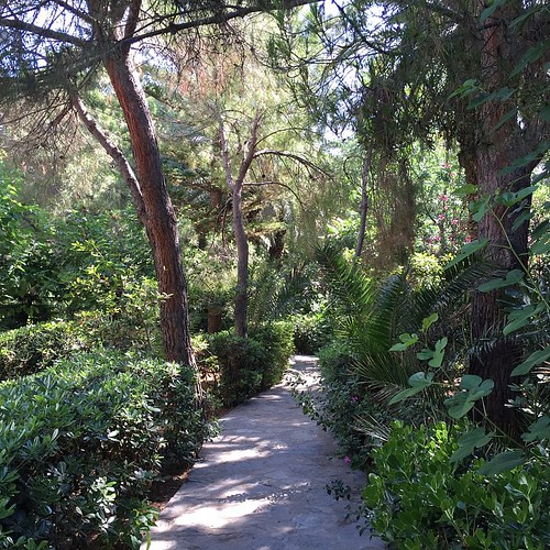 A path to dream and stroll in the shadow of the trees - #travelculinarygreece #apolloniabeachcrete #greece #crete #kreta #wedolocalApollonia #blogtrottersgr #Griechenland #summer #island #discovergreece #greecestagram #greece2015 #visit_greece @visitgre