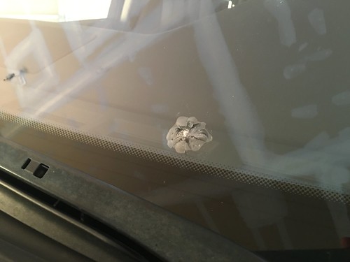 windshield crack shaped like a flower