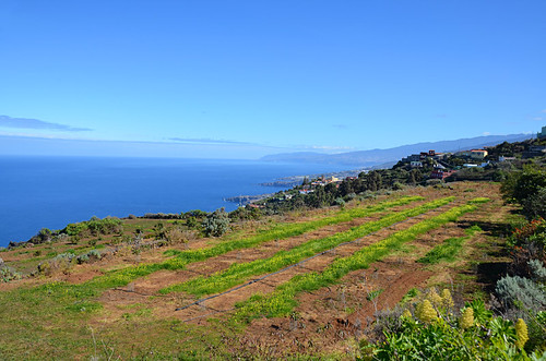 Route above Isla Baja and Garachico, Tenerife