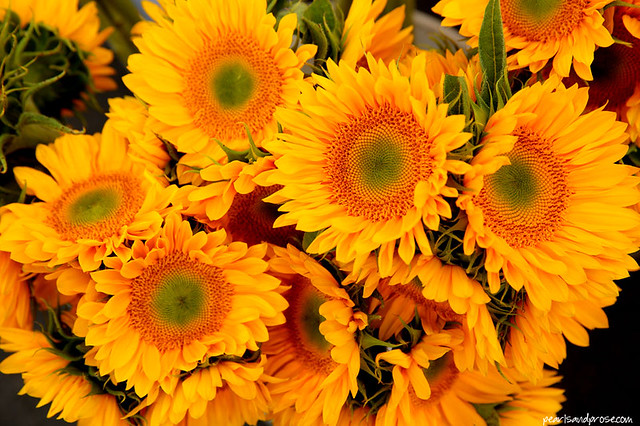 farmers_sunflowers_web
