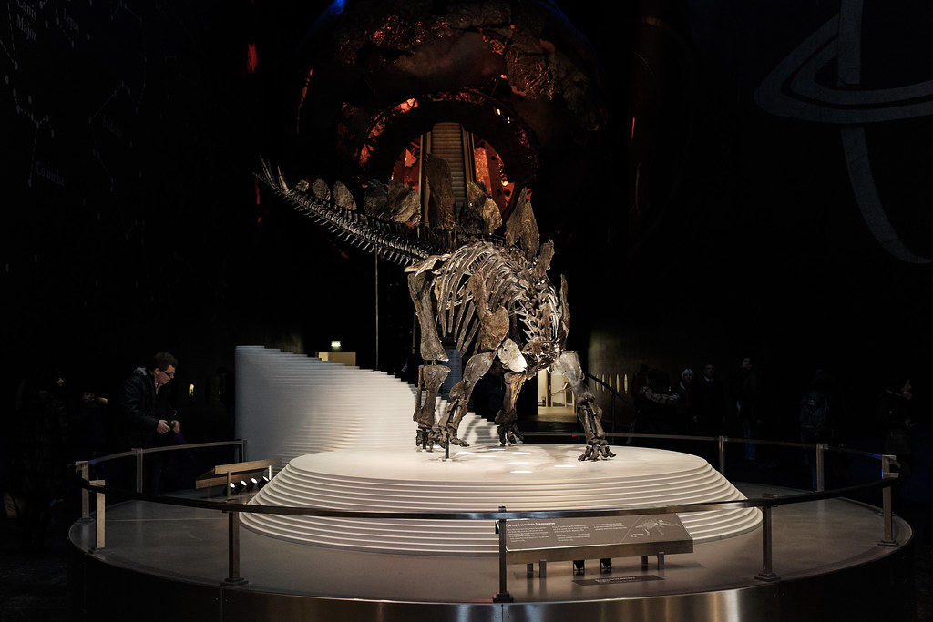 Travel and Photography | London Natural History Museum