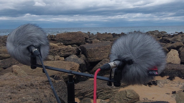 Field-recording at Cambo Sands