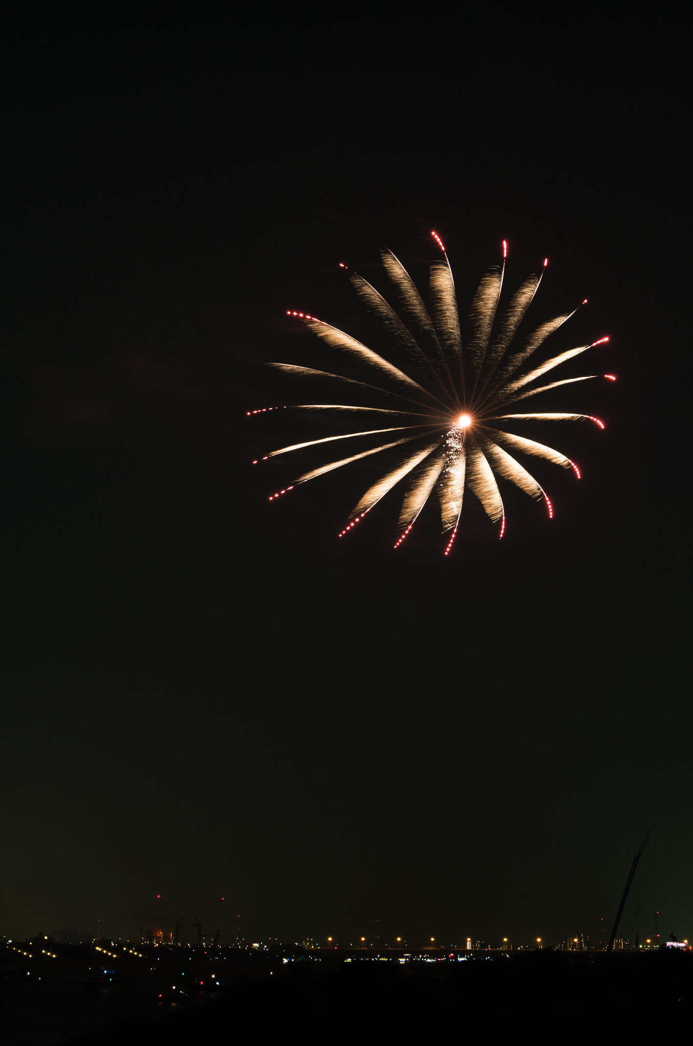 Edogawa Fireworks Festival 1