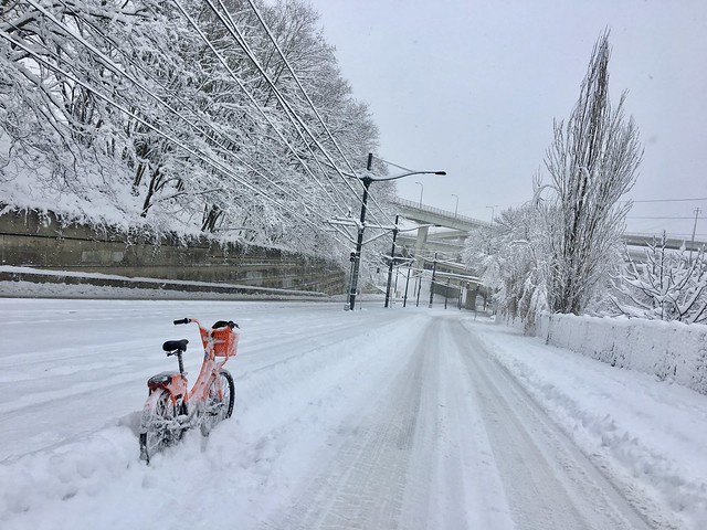 Riding bike share in the snow