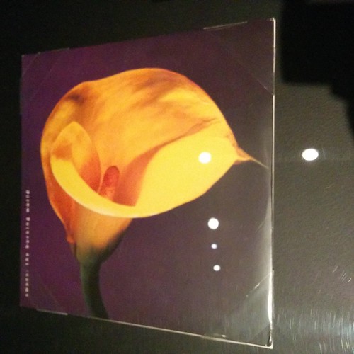 Swans, The Burning World (1989)