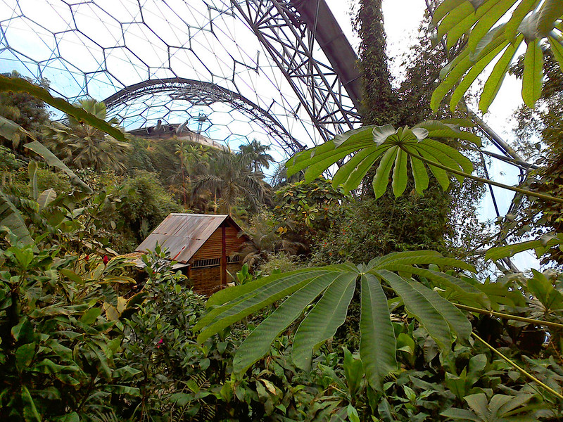 The Eden Project, Cornwall - Tropical biodome
