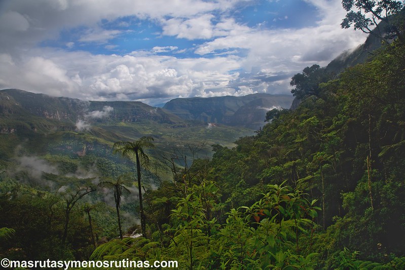 Catarata Gocta. Colosales cascadas entre nubes que abrazan montañas - Por el norte de PERÚ. De los glaciares a la selva (24)