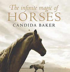The Infinite Magic of Horses by Candida Baker