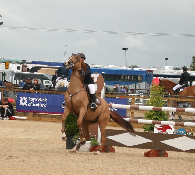 Showjumping Talentseekers