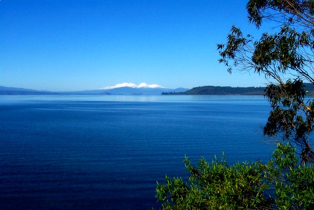 Image result for lake taupo