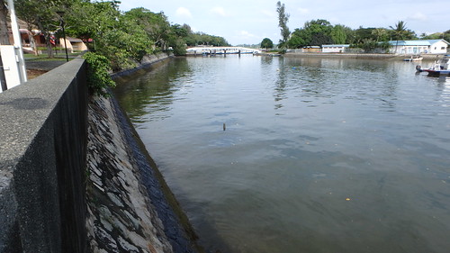 Changi Creek after oil spill in Johor Strait, Jan 2017