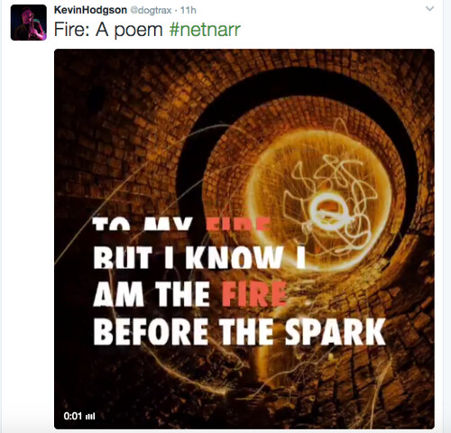 NetNarr Element Poems