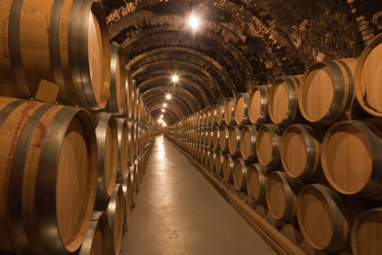Barrels of wine in cellar
