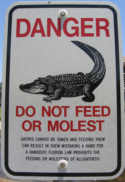 Don't whatever you do molest the alligators  OK, no 