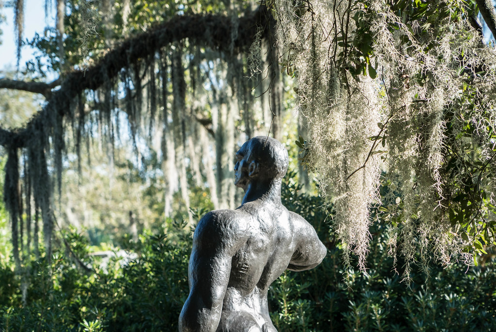 Besthoff Sculpture Garden City Park New Orleans Flickr