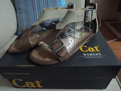 outlet CAT的涼鞋 nt.990