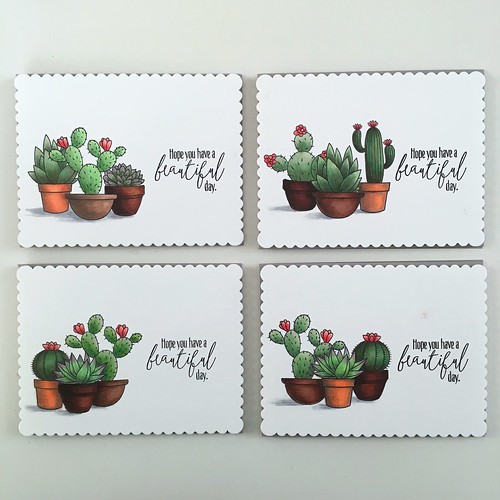 MFT sweet succulents card set