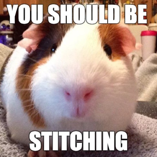 you should be stitching