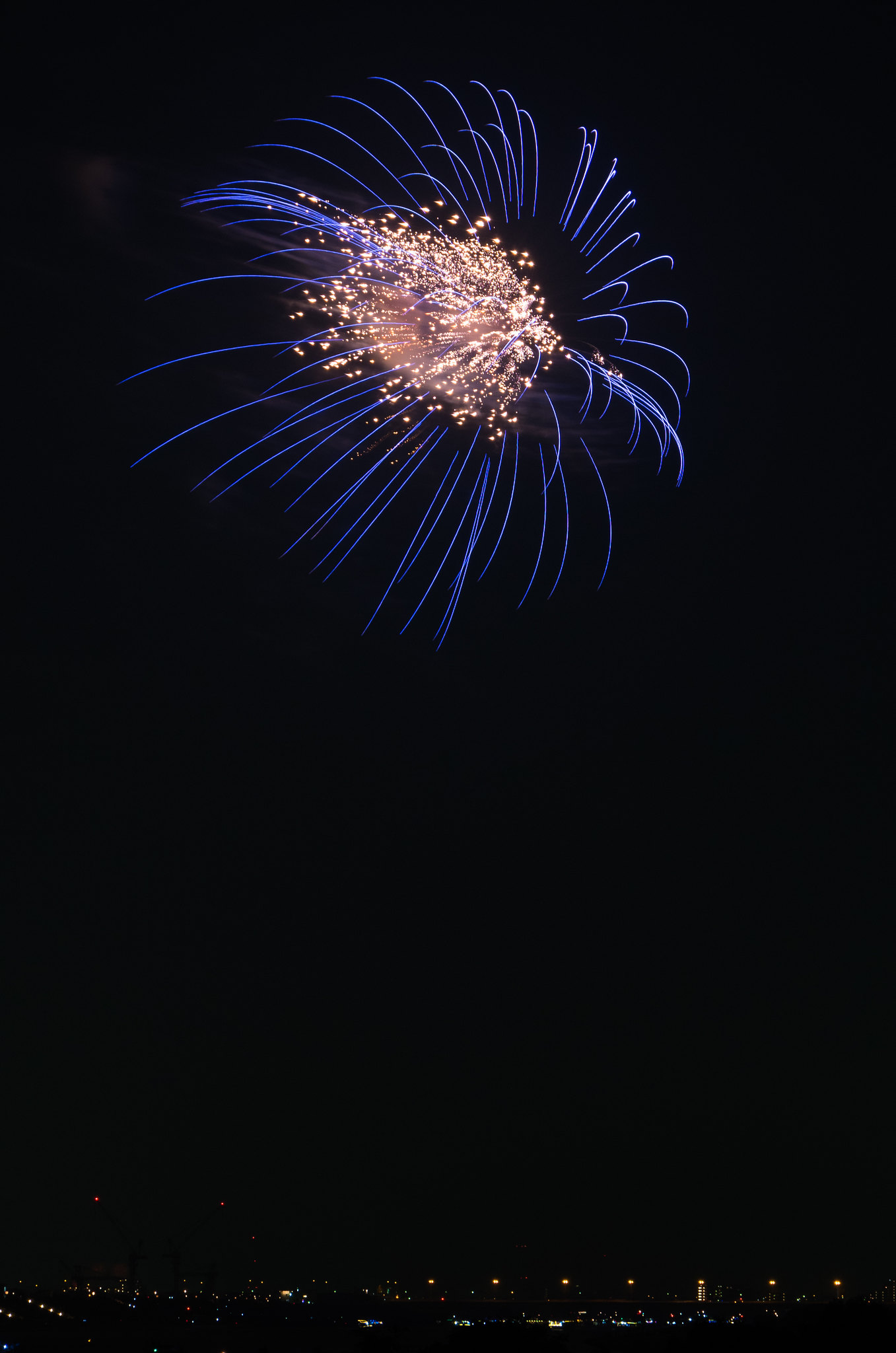 Edogawa Fireworks Festival 6