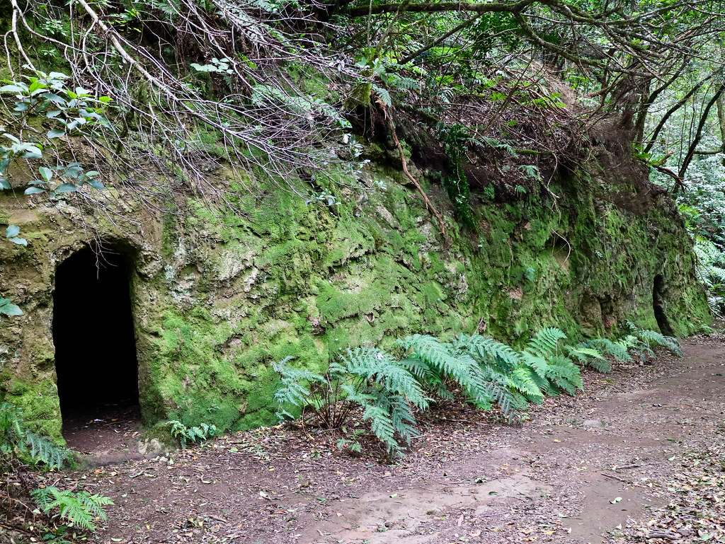 Cuevas Bosque Encantado