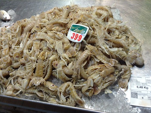 活虾3.99欧元/公斤