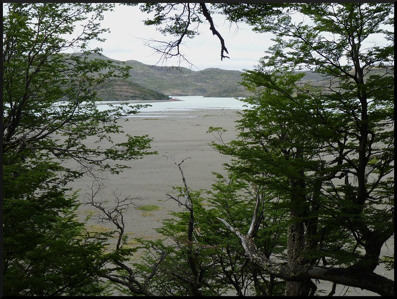 Parque Nacional Torres del Paine - Chile en 3 semanas: de Santiago a la región de Magallanes (11)