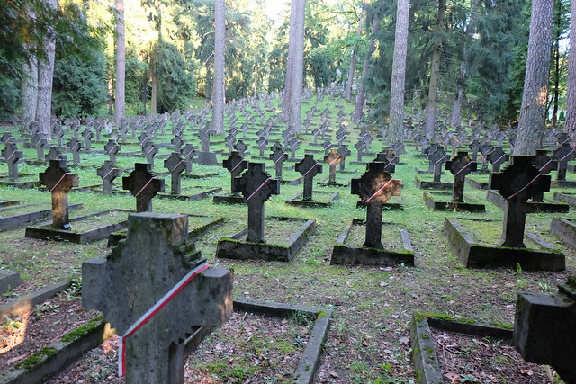 Estonia & Letonia & Lituania agosto/sep 2016 - Blogs de Rusia y Ex URSS - Día 13: VILNA: Centro de Vilna. Cementerios: Rasos y Antakalnis (14)