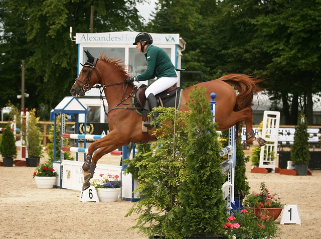 Showjumping Talentseekers