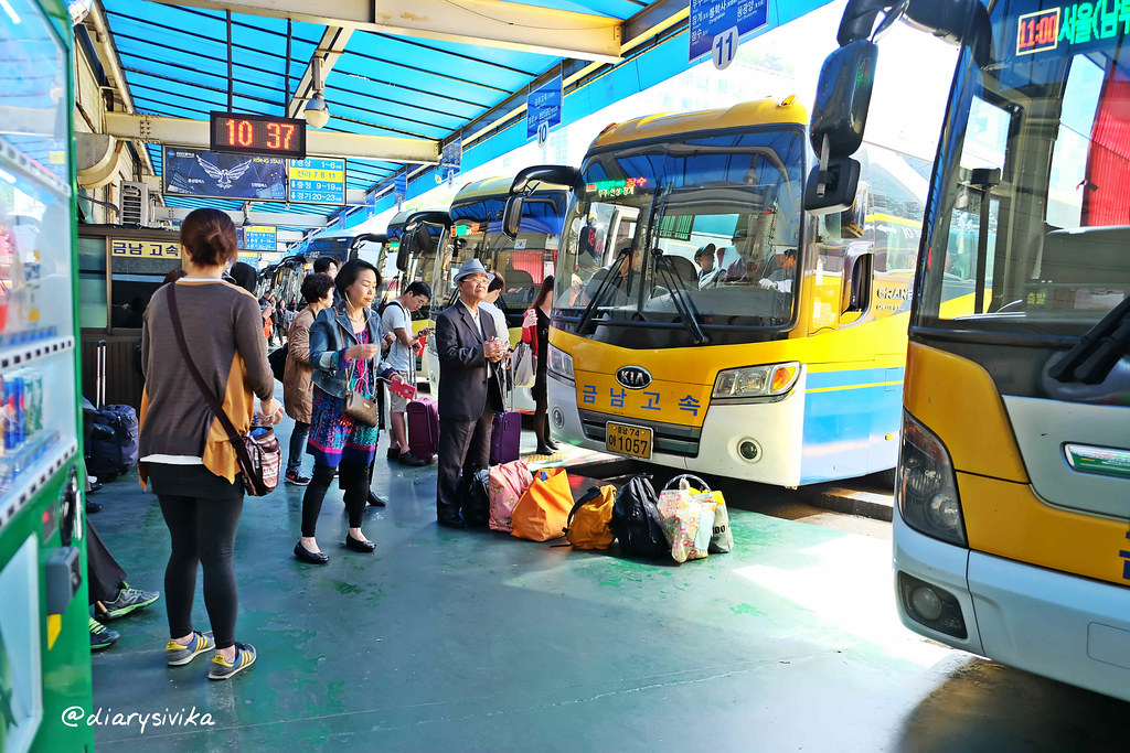 bus di korea 5