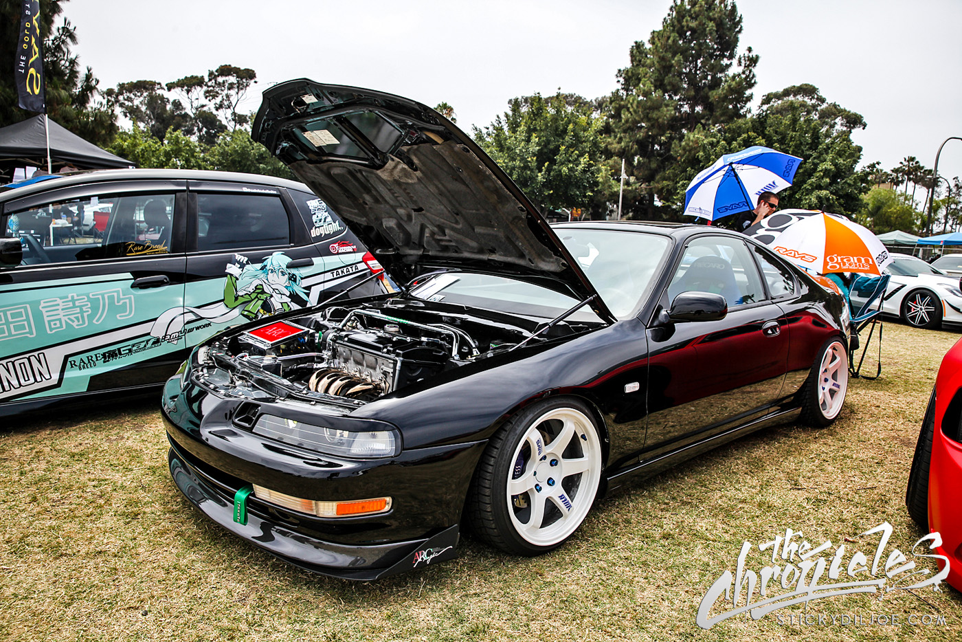 IMG_8466-Edit