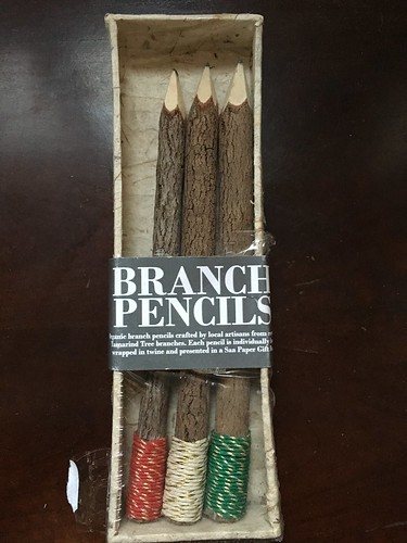 Branch pencil art