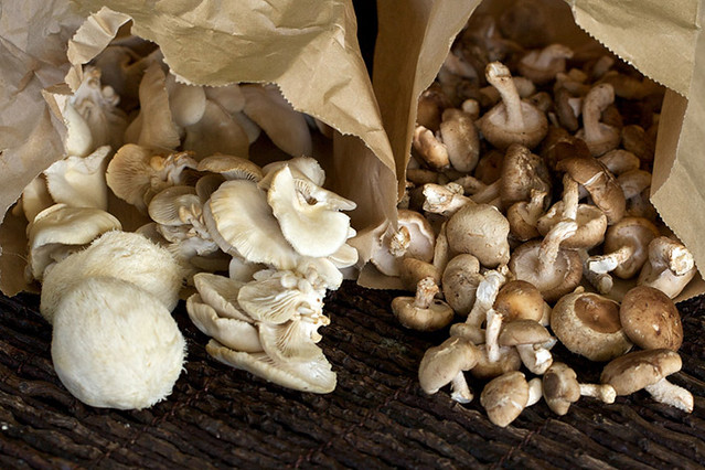mushrooms-in-a-paper-bag