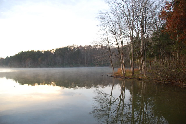 The cove was warm so the mist was dancing across the surface as the sun warmed the day from cabin 5 at Lake Anna State Park, Virginia