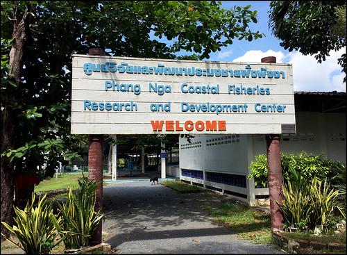Thai Mueang Coastal Resources Research Center