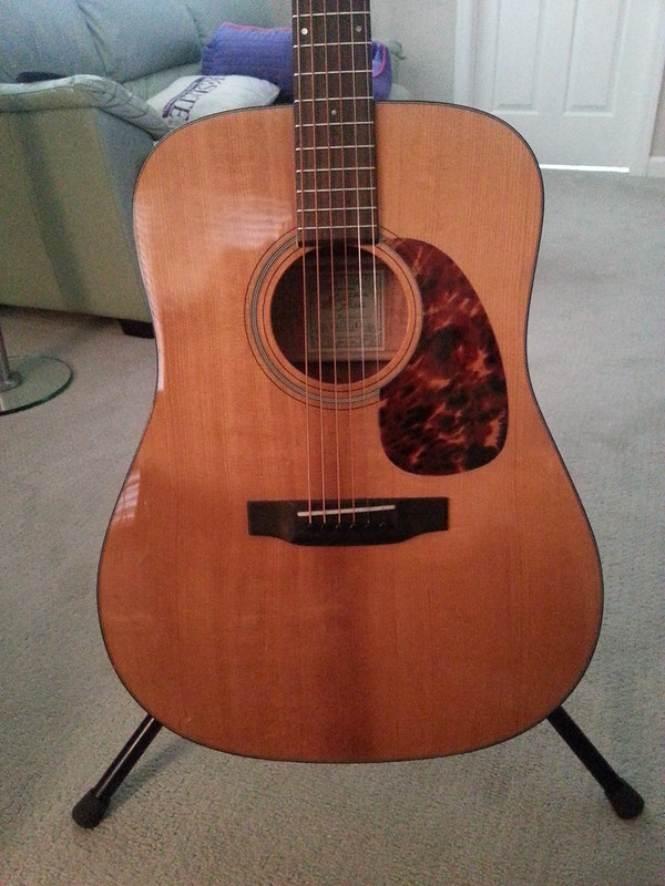 Recording King torrefied top RD-T16 - The Unofficial Martin Guitar 
