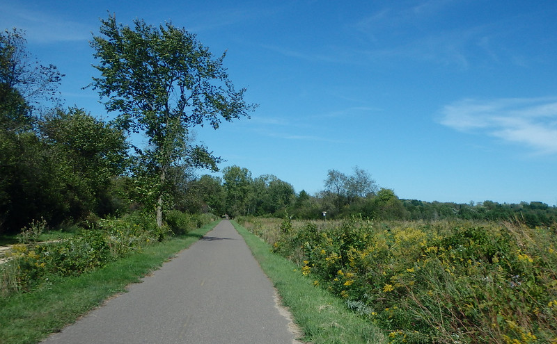 paved path with forest on the left, a field and wildflowers on the right, bright blue sky