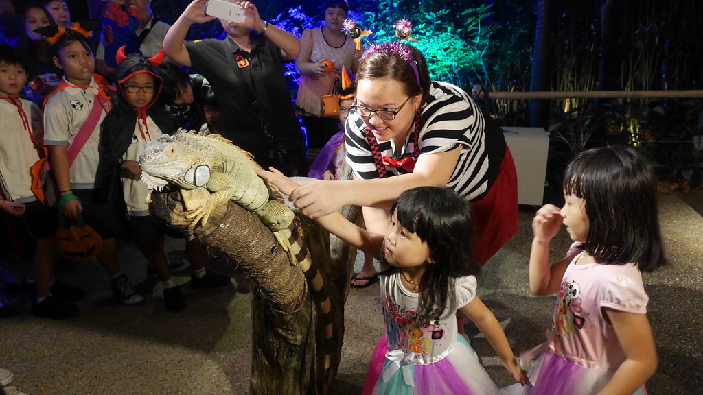 What's going through the iguana's head as it endures all this petting, I wonder.