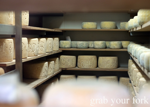 Wheels of cheese in the maturing room at Bruny Island Cheese Co on Bruny Island in Tasmania