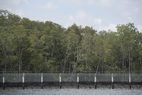 Security Fence on Northern Ubin after oil spill in East Johor Strait