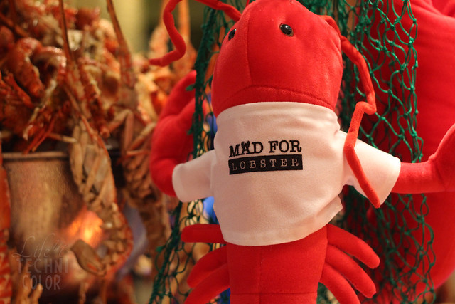 Mad for Lobster
