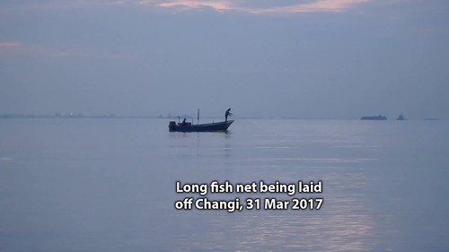 Long fishing net being laid off Changi