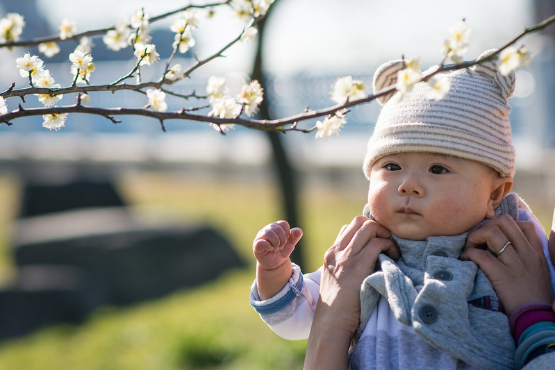 赤ちゃんと梅の花