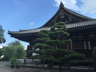 Kyoto - JAPÓN EN 15 DIAS, en viaje economico, viendo lo maximo. (8)