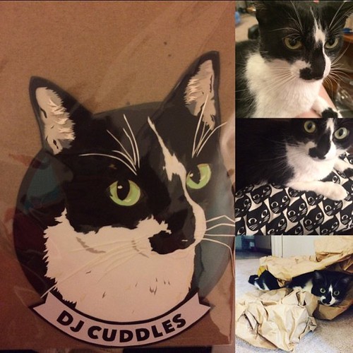 Custom Paper Cat Portrait