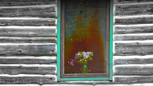 flowers in cabin