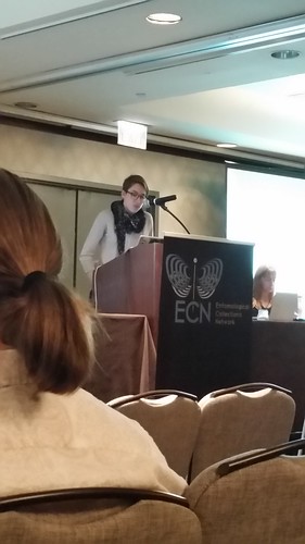 Photo of Emily Sandall presenting at a podium