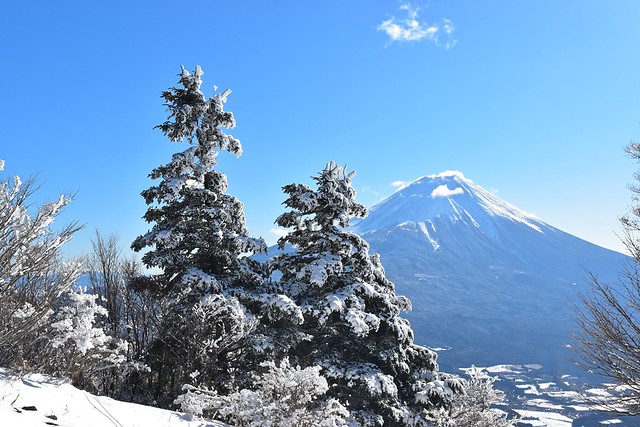 毛無山～雨ヶ岳　冬の雪山登山　樹氷と富士山の大展望