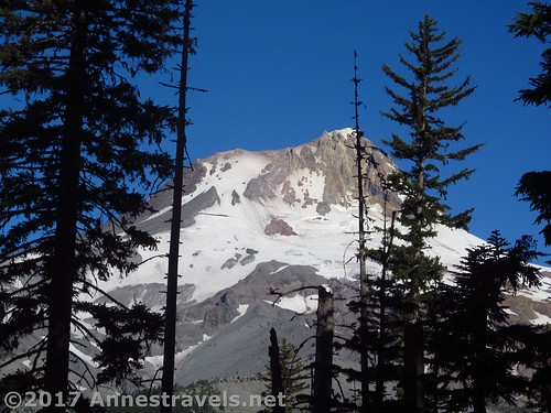 Peek-a-boo views of Mt. Hood from the Elk Meadows Trail above Newton Creek, Mount Hood National Forest, Oregon