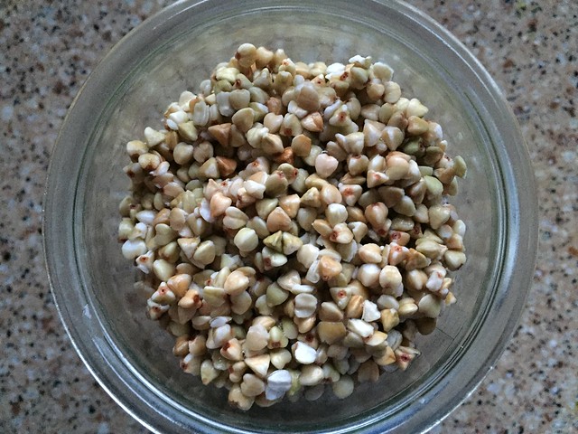 Sprouting buckwheat groats